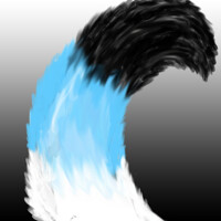 MR FLOOF 'n STIEN!