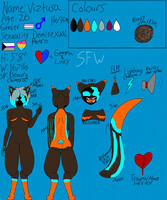 Viztusa Reference Sheet