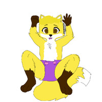 Henry the golden fox