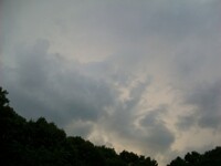 Storm's A Brewin'