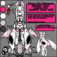 Meep reference sheet