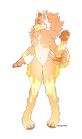 Pomeranian Adopt