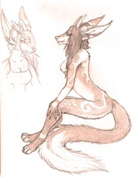 Com: Noku by crystacian