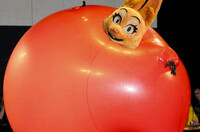 Diane Foxington Suit Inflation