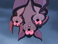 Three Cute Little Bats