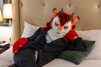 龙球的兽装返图