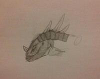 Sketch :: Drake Head