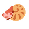 Nautilus Emoji