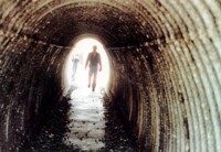 the Tunnel