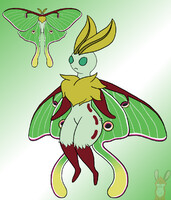 Luna Moth