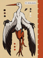 #22 - white stork