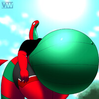 [NMA] Vision Obstructor