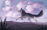 {AF} Lavender Sunrise