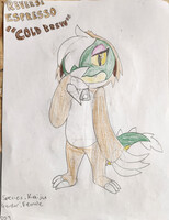 Reverse Espresso A.K.A Cold Brew