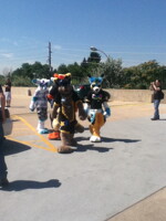 Some of the fursuit parade