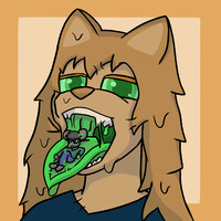 Kofi mawshot