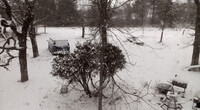 Out the window, 3 days later
