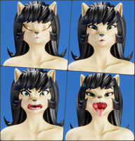 Kitty Katswell Facial expressions test
