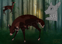 Deer Adopt 'Sprinter' (CLOSED)