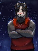 [$] Rainy day Badger