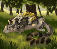 Nap time