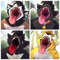 Mawshot YCH v3