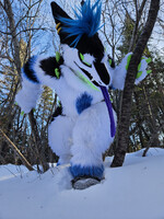 What are you doing here little Meatball...