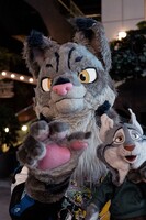 Pawbert and Not-Pawbert