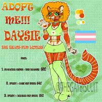 DAYSIE ADOPT [OPEN]