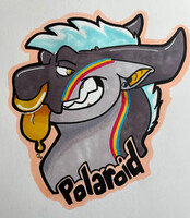 Polaroid Badge