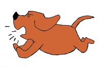 Bartholomew