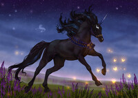 Lavender night