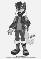 Winter Coat Razor