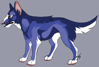 Canine Adopt - OPEN