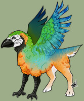 Parrot Canine Adopt - OPEN
