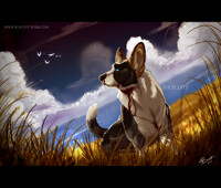 Roy: After The Storm