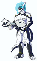 The first prototype
