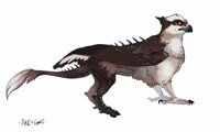 adoptable- osprey gryph (sold)