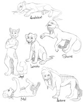 Sketches