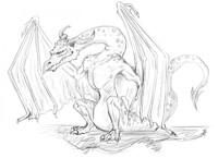 wyvern sketch