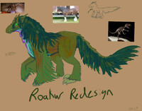 Roakur Redesign