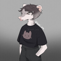 casual punk possum