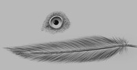 shading doodle?