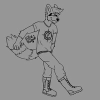 Raccoon Metal