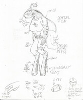 (OLD) Sang'Shark - 2010