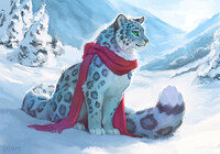 Snow leopard in winter