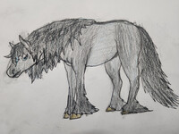 Kelpie Lapis horse form