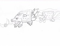 Kitsune vrs. Nyan Cat