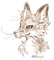 Grainy brushes (CSP)