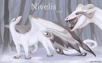 Nivelis | OC